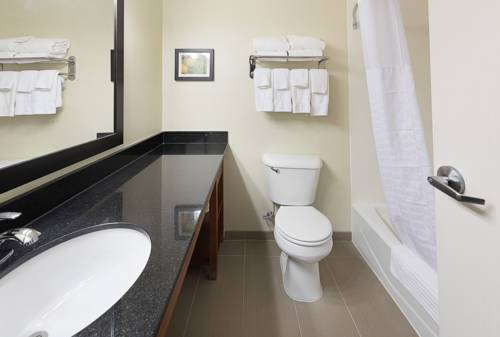 Imagen de la habitación del Hotel Comfort Suites Saginaw. Foto 4