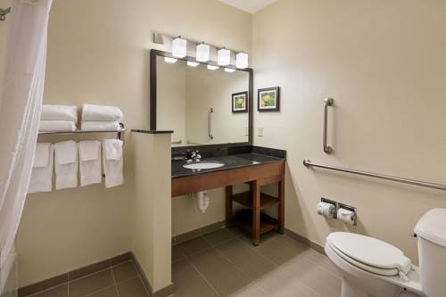 Imagen de la habitación del Hotel Comfort Suites Saginaw. Foto 5