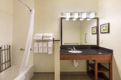 Imagen de la habitación del Hotel Comfort Suites Saginaw. Foto 6