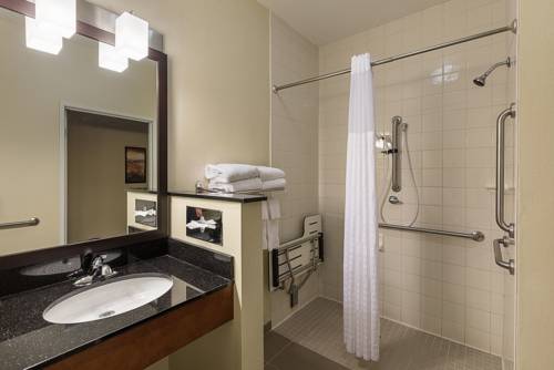 Imagen de la habitación del Hotel Comfort Suites Saginaw. Foto 8