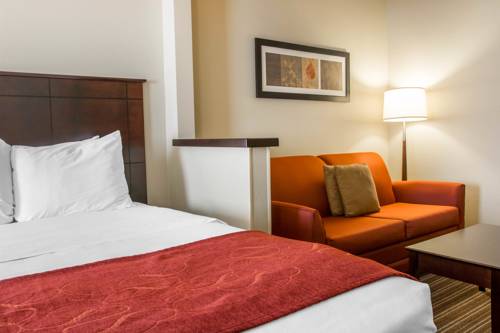 Imagen de la habitación del Hotel Comfort Suites Saginaw. Foto 10