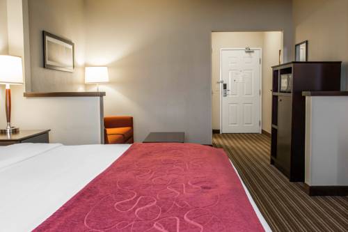 Imagen de la habitación del Hotel Comfort Suites Saginaw. Foto 11