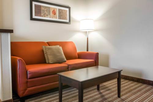 Imagen de la habitación del Hotel Comfort Suites Saginaw. Foto 13
