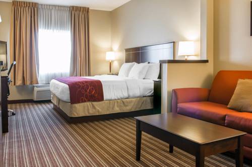 Imagen de la habitación del Hotel Comfort Suites Saginaw. Foto 14