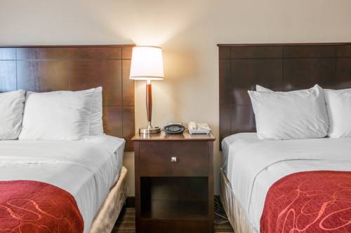 Imagen de la habitación del Hotel Comfort Suites Saginaw. Foto 16