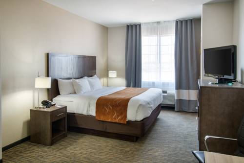 Imagen de la habitación del Hotel Comfort Suites San Angelo Near University. Foto 3