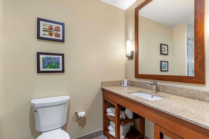 Imagen de la habitación del Hotel Comfort Suites San Antonio Ft. Sam Houston/sammc Area. Foto 2