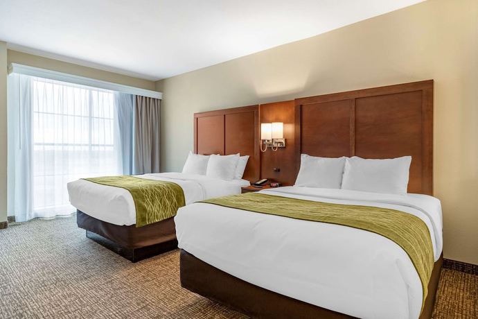 Imagen de la habitación del Hotel Comfort Suites San Antonio Ft. Sam Houston/sammc Area. Foto 4