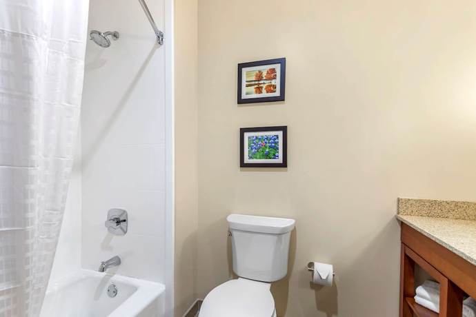 Imagen de la habitación del Hotel Comfort Suites San Antonio Ft. Sam Houston/sammc Area. Foto 7