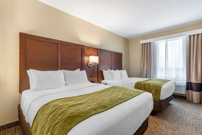 Imagen de la habitación del Hotel Comfort Suites San Antonio Ft. Sam Houston/sammc Area. Foto 10