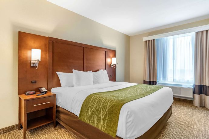 Imagen de la habitación del Hotel Comfort Suites San Antonio Ft. Sam Houston/sammc Area. Foto 18