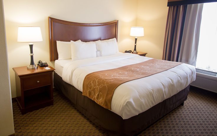 Imagen de la habitación del Hotel Comfort Suites San Antonio North - Stone Oak. Foto 2
