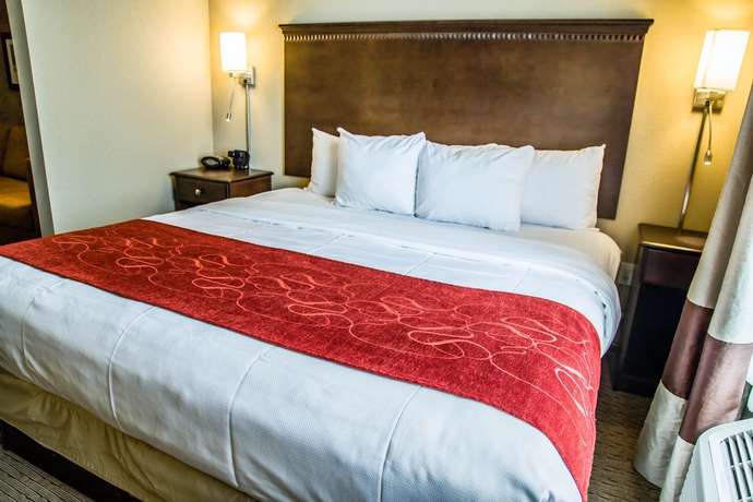 Imagen de la habitación del Hotel Comfort Suites Sarasota - Siesta Key. Foto 4