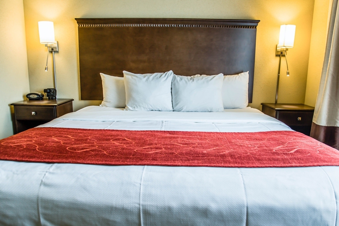 Imagen de la habitación del Hotel Comfort Suites Sarasota - Siesta Key. Foto 5