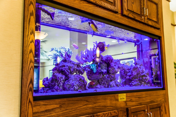 Imagen de los interiores del Hotel Comfort Suites Sarasota - Siesta Key. Foto 10