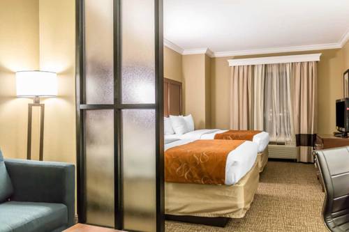 Imagen de la habitación del Hotel Comfort Suites Savannah North. Foto 3