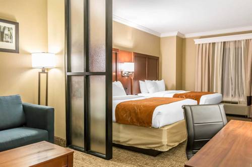 Imagen de la habitación del Hotel Comfort Suites Savannah North. Foto 4