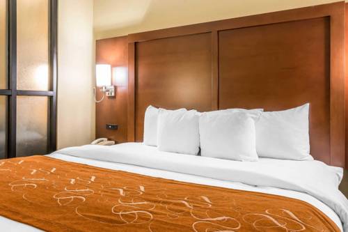 Imagen de la habitación del Hotel Comfort Suites Savannah North. Foto 7