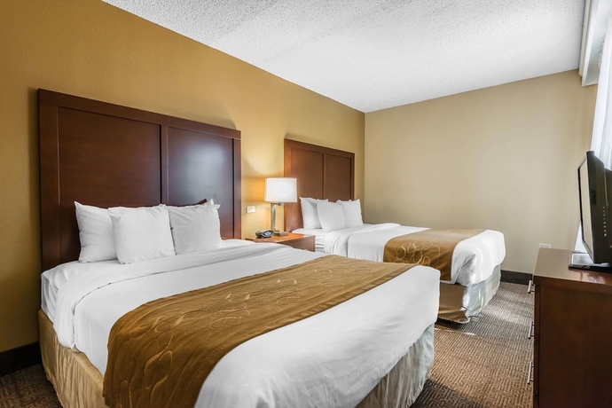 Imagen de la habitación del Hotel Comfort Suites Sawgrass. Foto 7