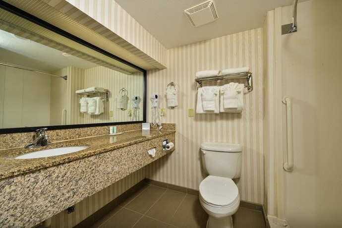 Imagen de la habitación del Hotel Comfort Suites Sawgrass. Foto 8