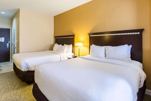 Imagen general del Hotel Comfort Suites Shenandoah-the Woodlands. Foto 3