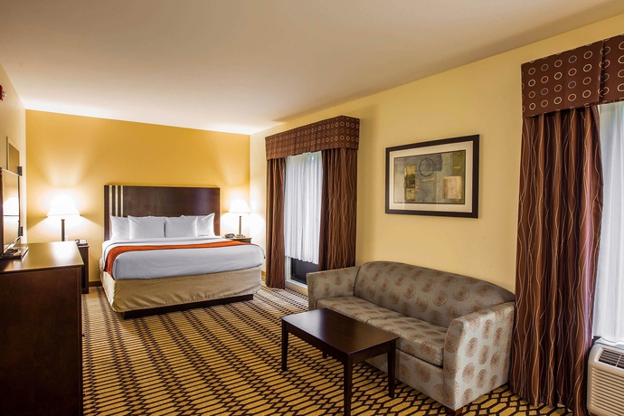 Imagen de la habitación del Hotel Comfort Suites Simpsonville. Foto 5