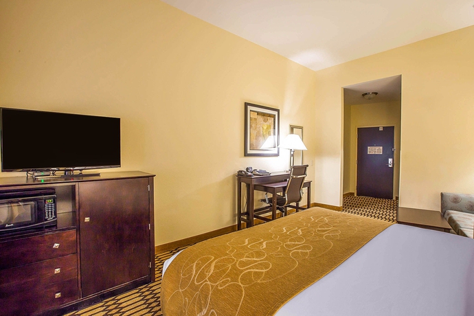 Imagen de la habitación del Hotel Comfort Suites Simpsonville. Foto 7