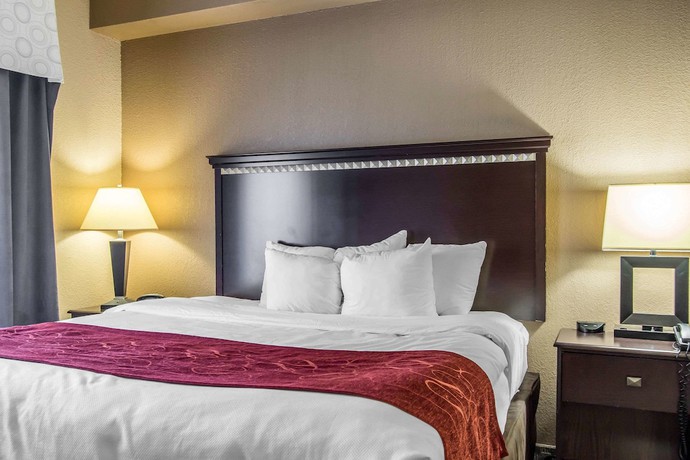 Imagen de la habitación del Hotel Comfort Suites Smyrna. Foto 10