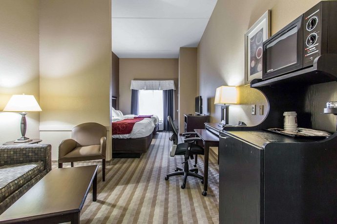 Imagen de la habitación del Hotel Comfort Suites Smyrna. Foto 12