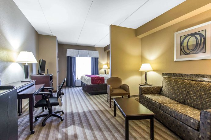 Imagen de la habitación del Hotel Comfort Suites Smyrna. Foto 14