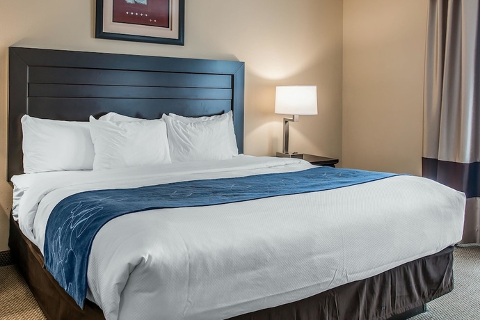 Imagen de la habitación del Hotel Comfort Suites South Bend. Foto 4