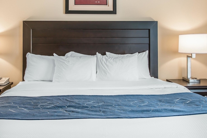 Imagen de la habitación del Hotel Comfort Suites South Bend. Foto 5