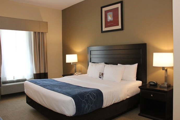 Imagen de la habitación del Hotel Comfort Suites South Bend. Foto 13