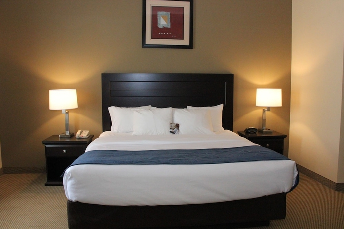 Imagen de la habitación del Hotel Comfort Suites South Bend. Foto 14