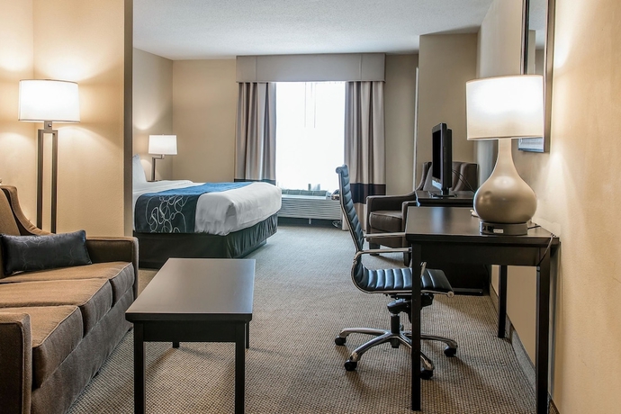 Imagen de la habitación del Hotel Comfort Suites South Bend. Foto 15