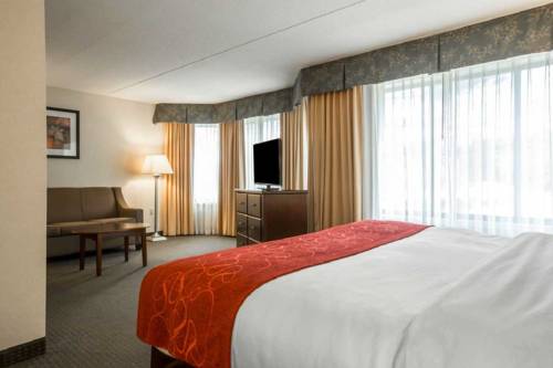 Imagen de la habitación del Hotel Comfort Suites South Burlington. Foto 3
