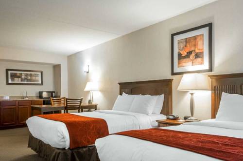Imagen de la habitación del Hotel Comfort Suites South Burlington. Foto 6