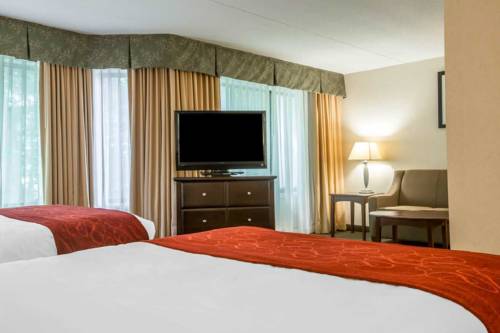 Imagen de la habitación del Hotel Comfort Suites South Burlington. Foto 7