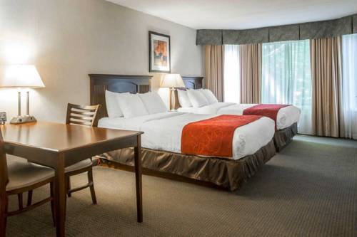 Imagen de la habitación del Hotel Comfort Suites South Burlington. Foto 8