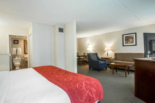 Imagen de la habitación del Hotel Comfort Suites South Burlington. Foto 10