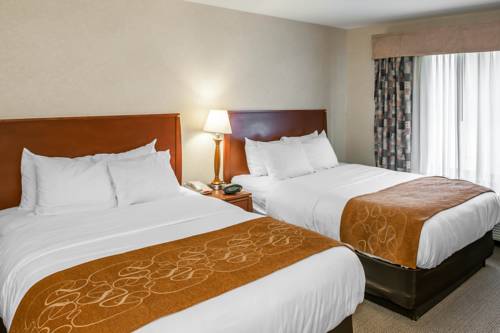 Imagen de la habitación del Hotel Comfort Suites South, Elkhart. Foto 2