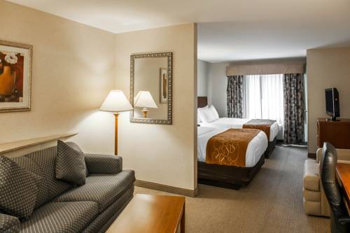 Imagen de la habitación del Hotel Comfort Suites South, Elkhart. Foto 3