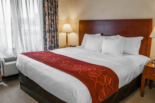 Imagen de la habitación del Hotel Comfort Suites South, Elkhart. Foto 4