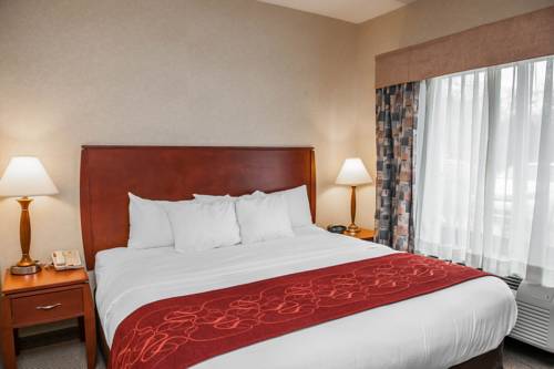 Imagen de la habitación del Hotel Comfort Suites South, Elkhart. Foto 5