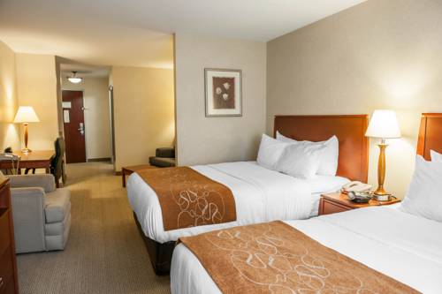 Imagen de la habitación del Hotel Comfort Suites South, Elkhart. Foto 6