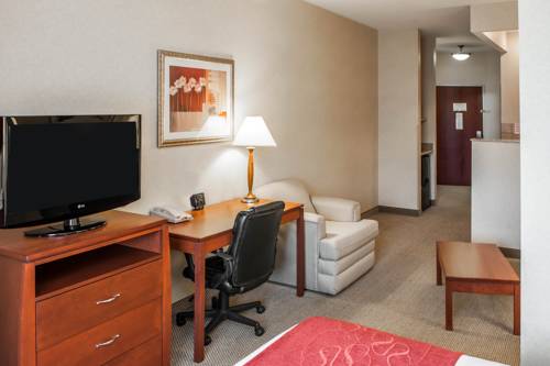 Imagen de la habitación del Hotel Comfort Suites South, Elkhart. Foto 10