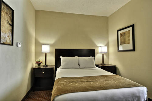 Imagen de la habitación del Hotel Comfort Suites South, Fort Wayne. Foto 5