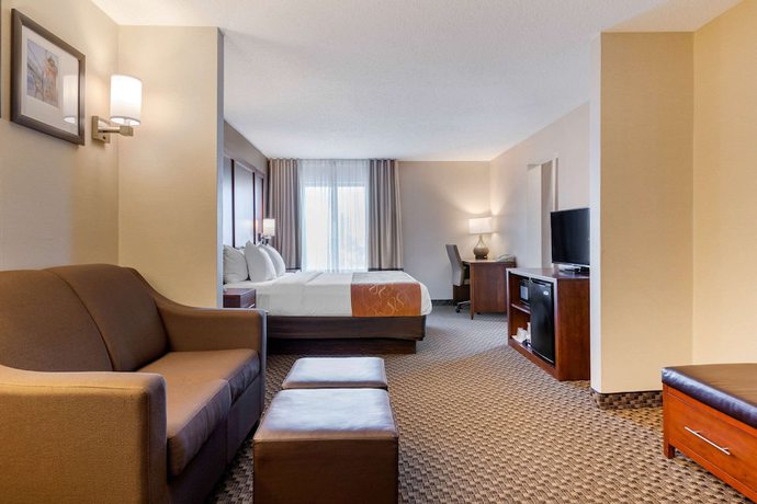 Imagen de la habitación del Hotel Comfort Suites South Haven Near I-96. Foto 6