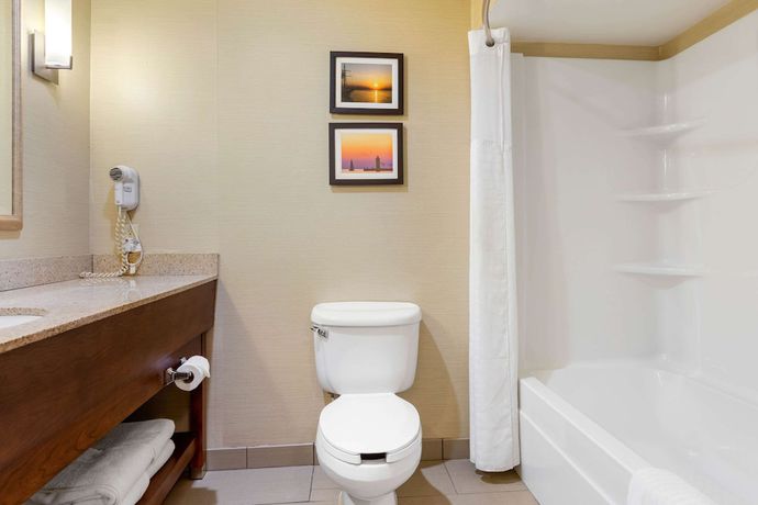 Imagen de la habitación del Hotel Comfort Suites South Haven Near I-96. Foto 7