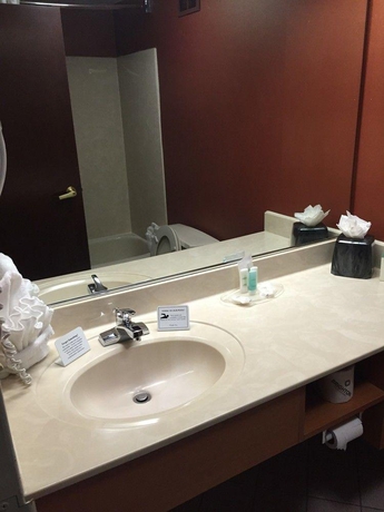 Imagen general del Hotel Comfort Suites South Park. Foto 3